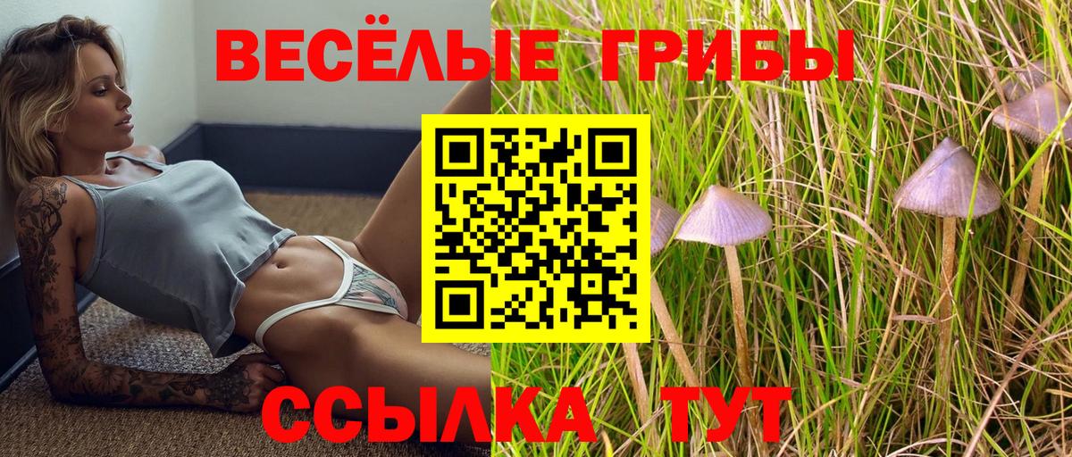 Реутов  Галлюциногенные грибы GOLDEN TEACHER  Вход с VPN 