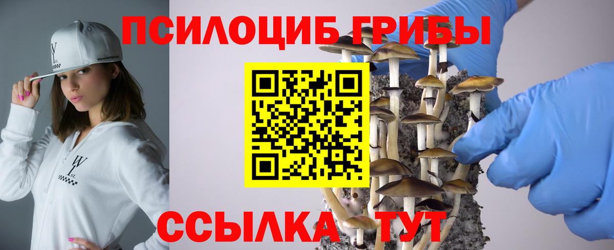 Псилоцибиновые грибы MAGIC MUSHROOMS Реутов
